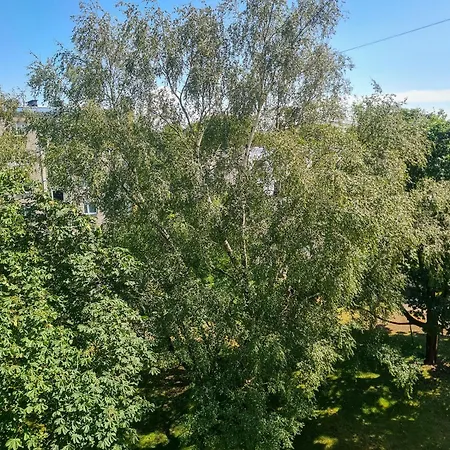 Apartment Tammsaare 28